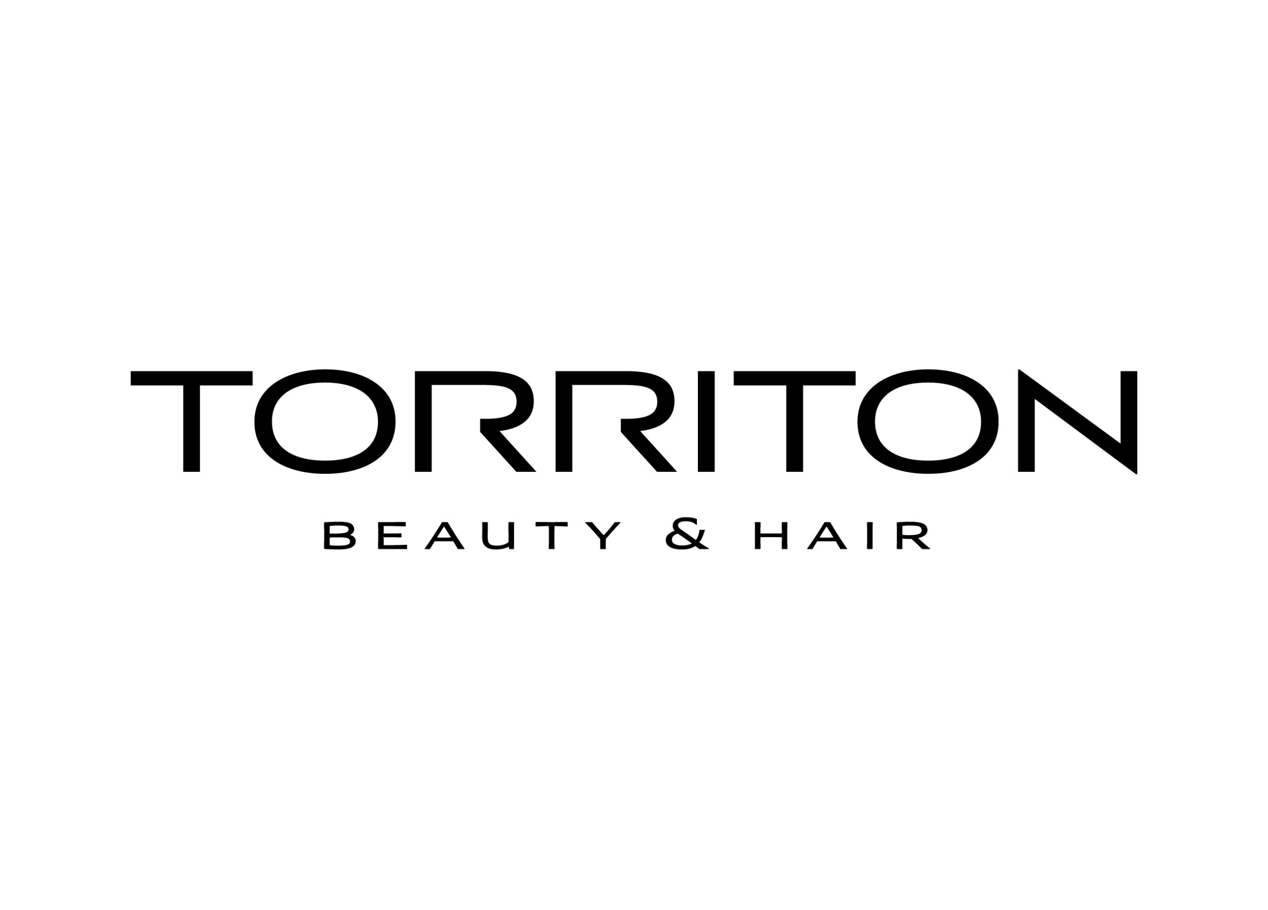 logo-torriton